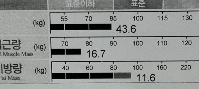 [잡담] 근육량 ㄹㅈㄷ | 인스티즈