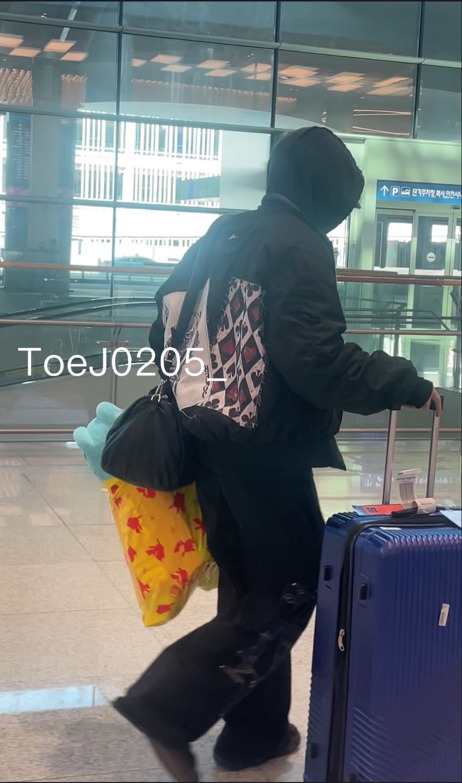 [잡담] 휴닝카이 일본가서 인형 사온 목격담 떴는데 인증 뜸ㅋㅋㅋㅋㅋㅋ | 인스티즈