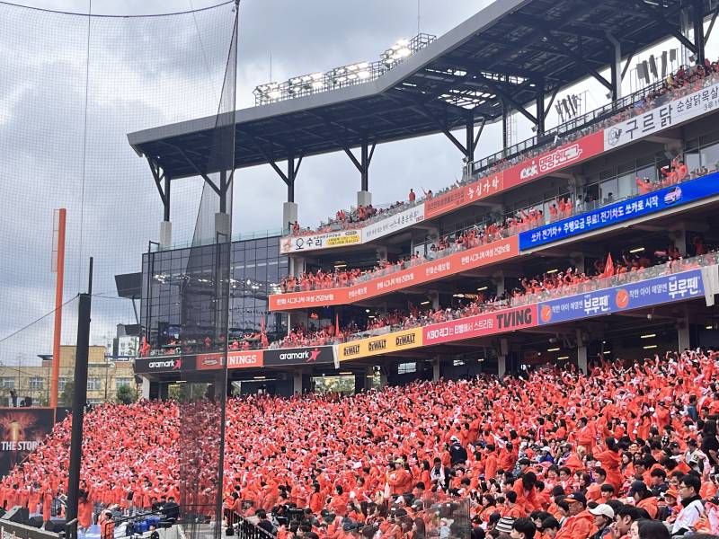 보리 모십니다🧡✨🧡✨🧡✨🧡✨🧡 | 인스티즈
