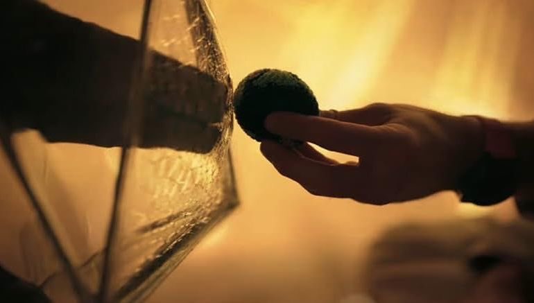 [잡담] 프로젝트 헤일메리 꼭 봐줘 꼭 ㅠㅠㅠㅠ | 인스티즈