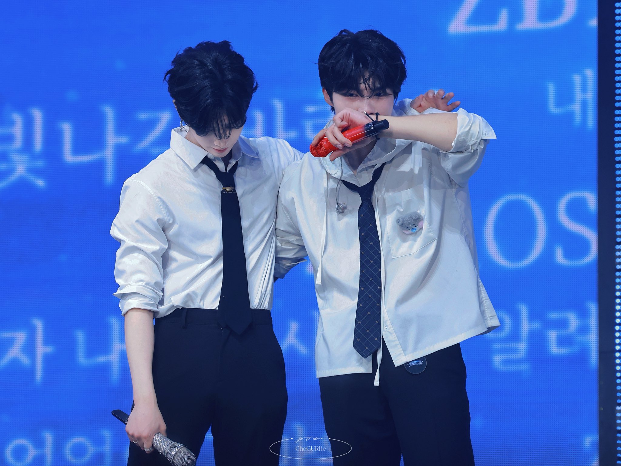 [잡담] 내 냥털즈 어떡해요 ㅠㅠㅠㅠㅠㅠㅠㅠㅠㅠㅠ | 인스티즈