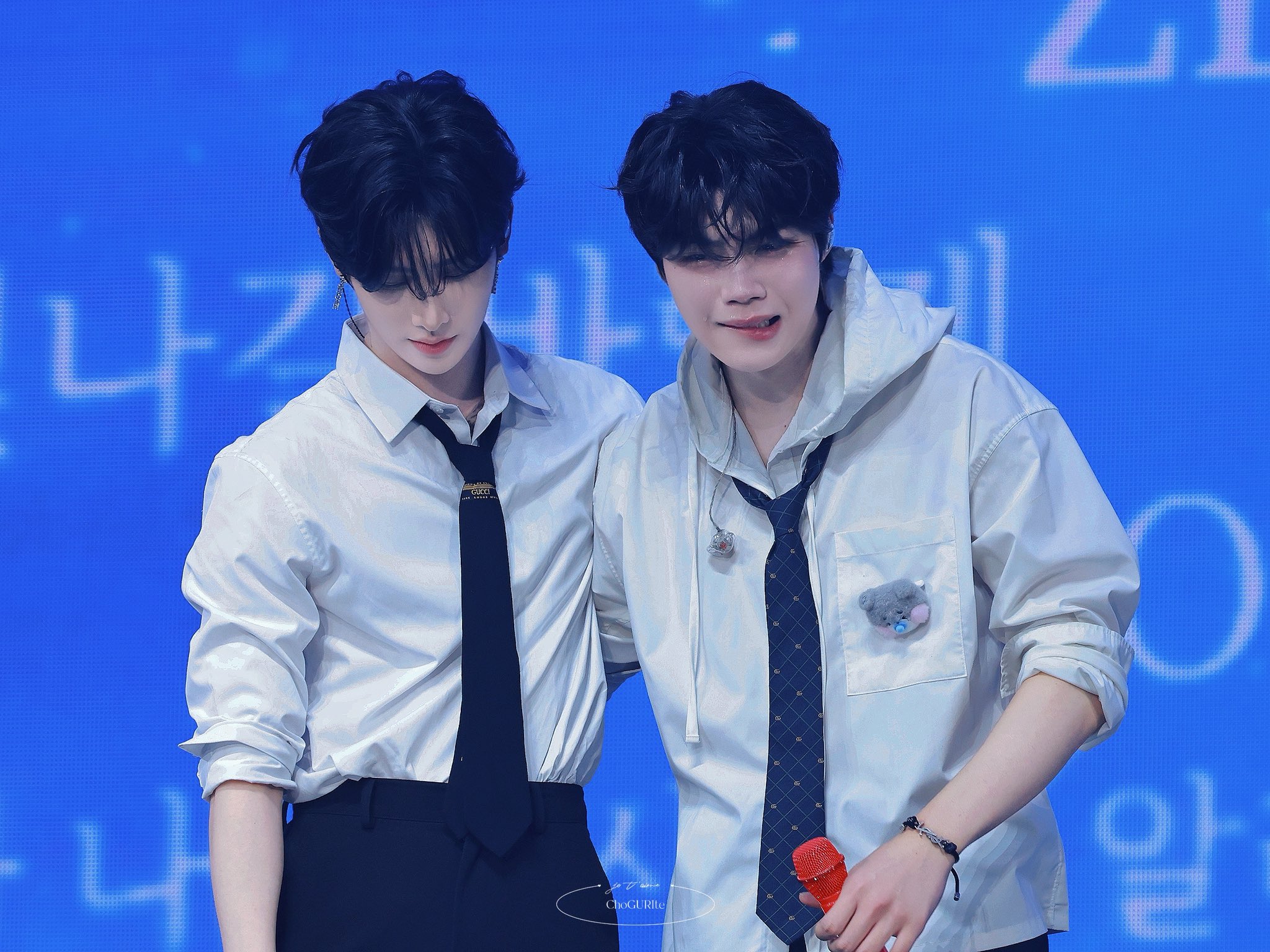 [잡담] 내 냥털즈 어떡해요 ㅠㅠㅠㅠㅠㅠㅠㅠㅠㅠㅠ | 인스티즈