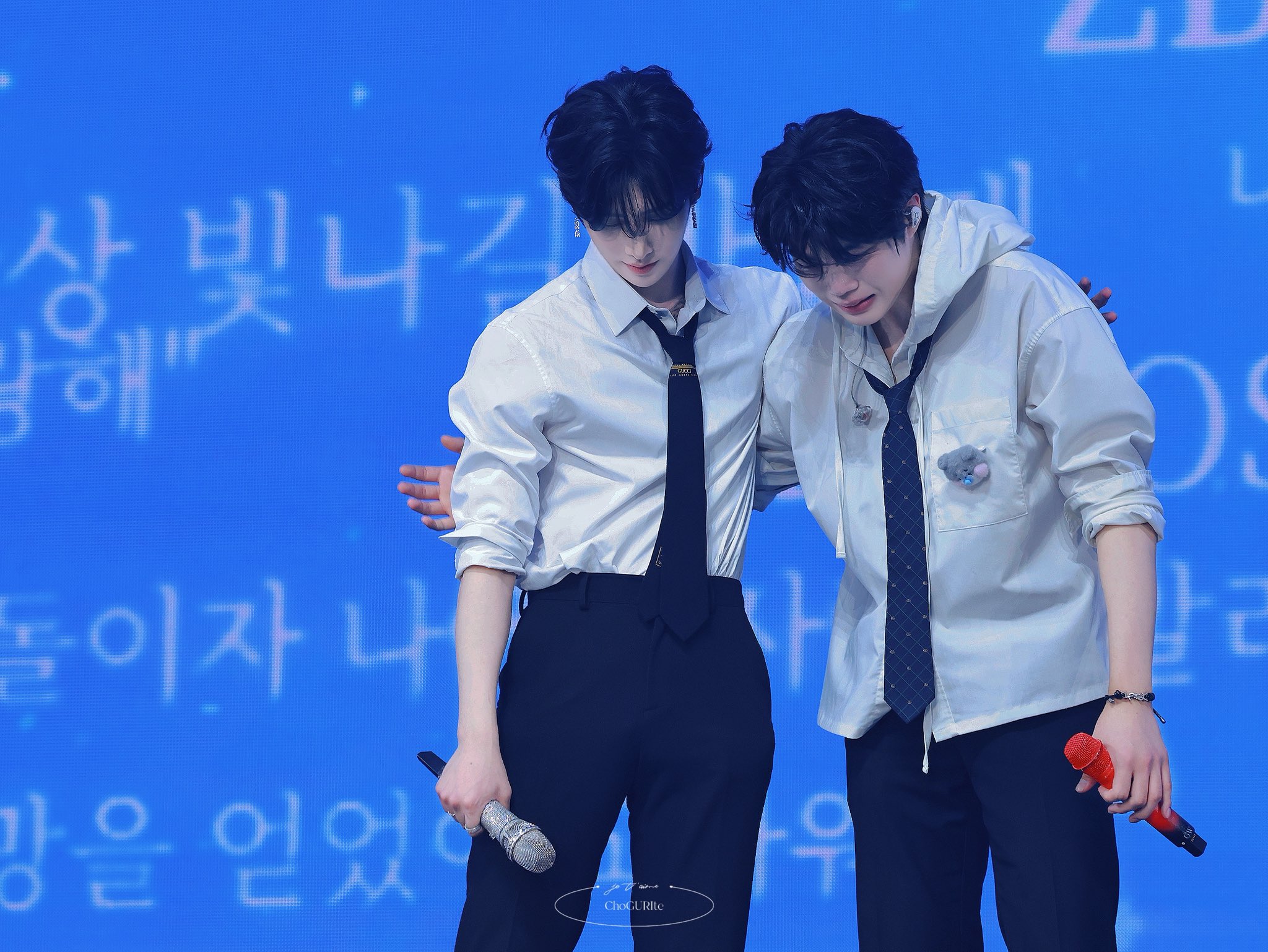 [잡담] 내 냥털즈 어떡해요 ㅠㅠㅠㅠㅠㅠㅠㅠㅠㅠㅠ | 인스티즈