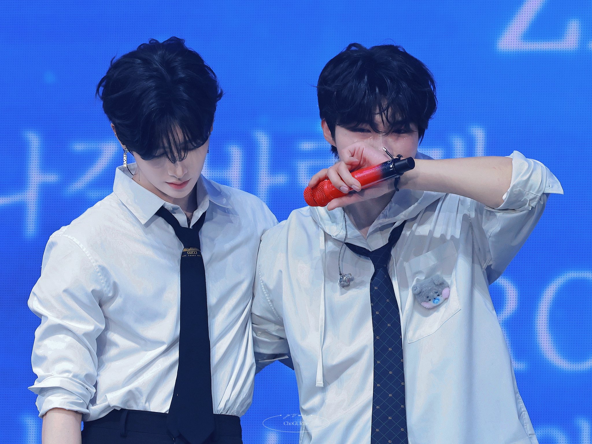 [잡담] 내 냥털즈 어떡해요 ㅠㅠㅠㅠㅠㅠㅠㅠㅠㅠㅠ | 인스티즈