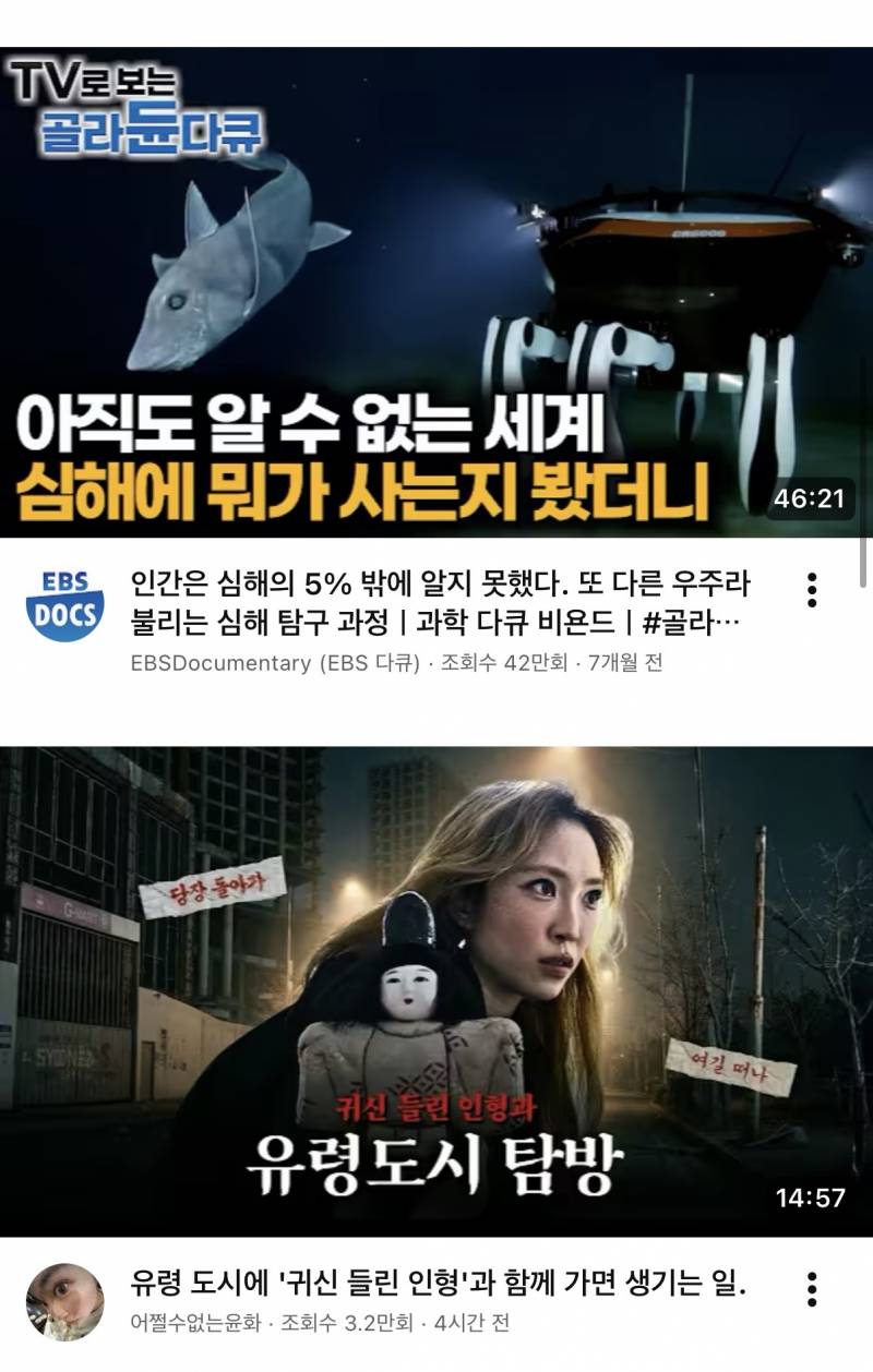 [잡담] 나 유튜브 알고리즘 어때?? mbti 뭐같아? | 인스티즈