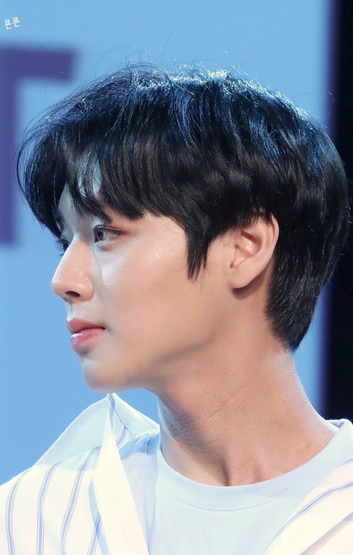 [잡담] 박지훈 콧대가 미쳤다 | 인스티즈