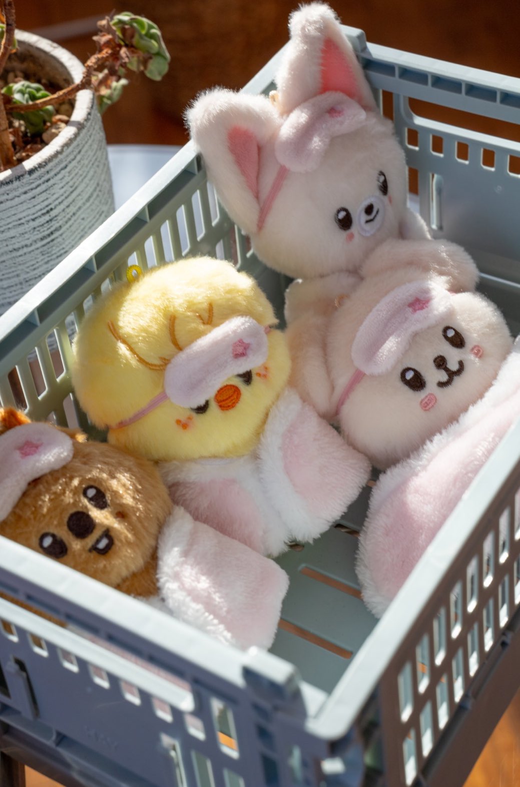 [잡담] 침대 스키주 인형 너무 귀엽다 | 인스티즈