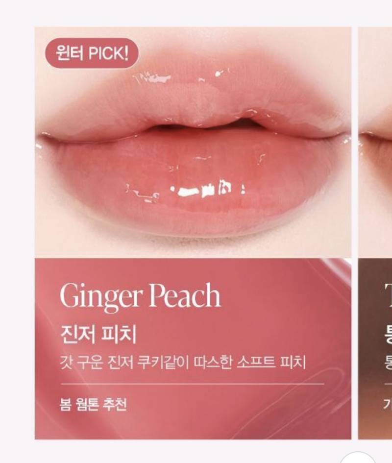 [잡담] 봄웜 립 골라줘 !!! | 인스티즈