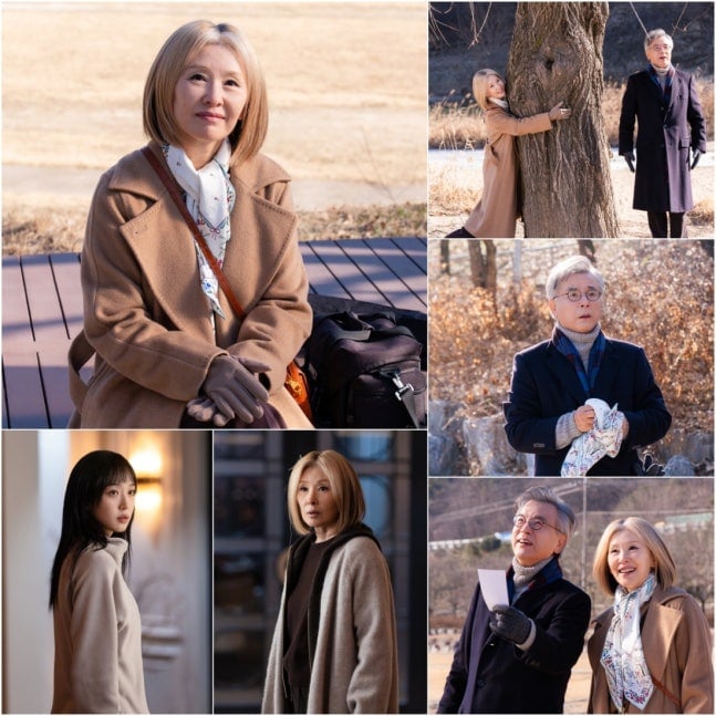 [정보/소식] 찬너계) '찬란한 너의 계절에' 치매 증상 이미숙, 강석우와 여행 중 실종 | 인스티즈