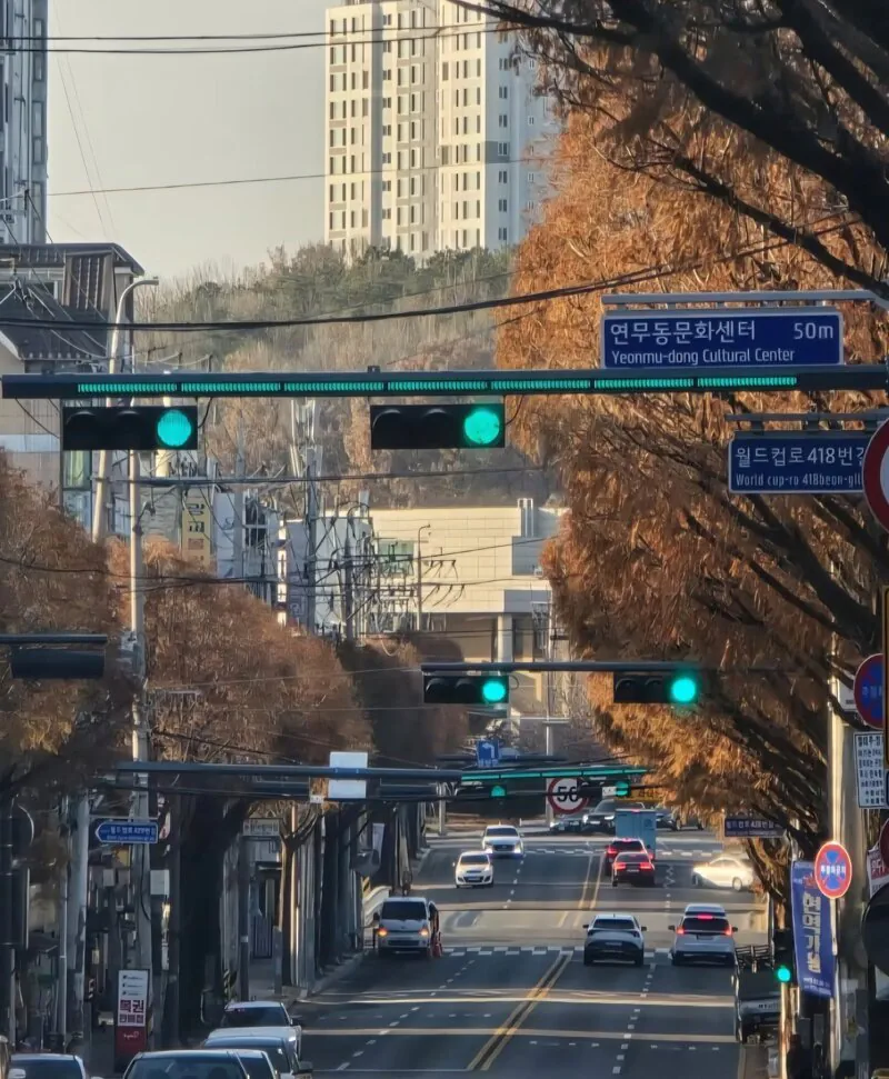 40년 만에 바뀌는 신호등 디자인 | 인스티즈