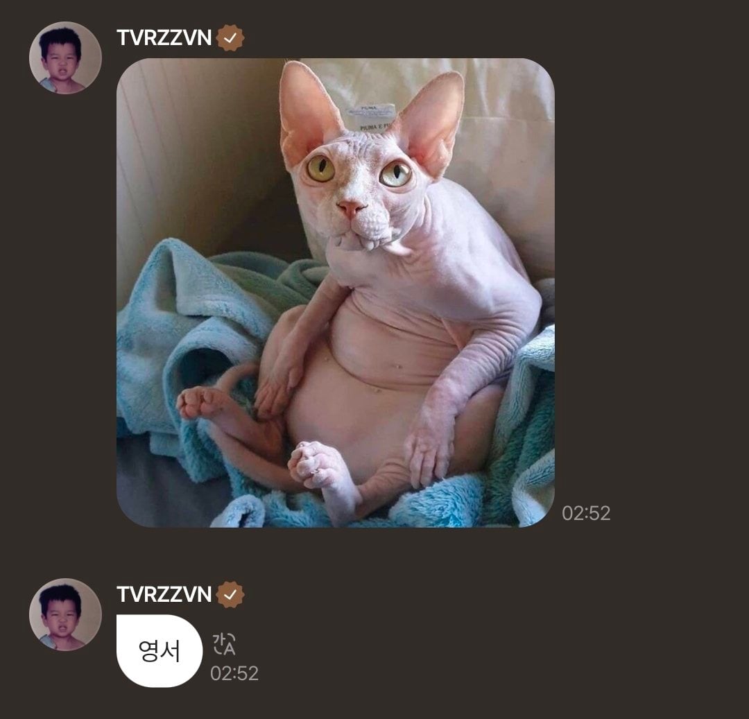 [마플] 올데프 타잔 이거 별로다.. | 인스티즈