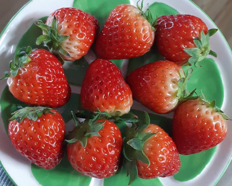 [잡담] 딸기 먹고 혈당 재봤음 | 인스티즈