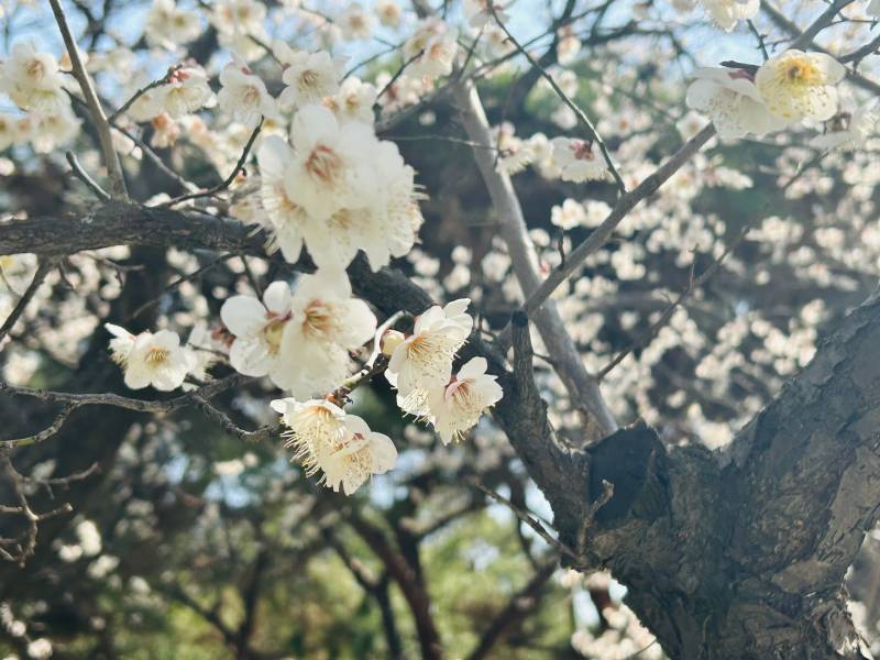 [잡담] 봄이다ㅎㅎ | 인스티즈