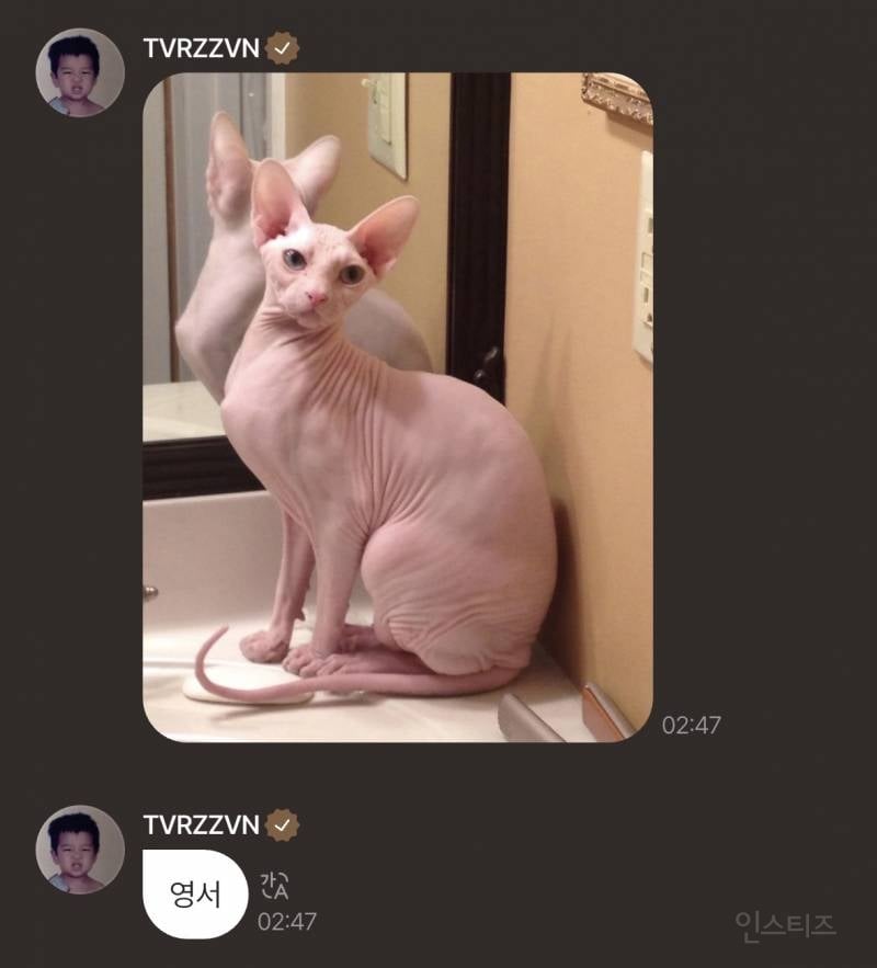 올데프 타잔이 생각하는 올데프 멤버들.jpg | 인스티즈
