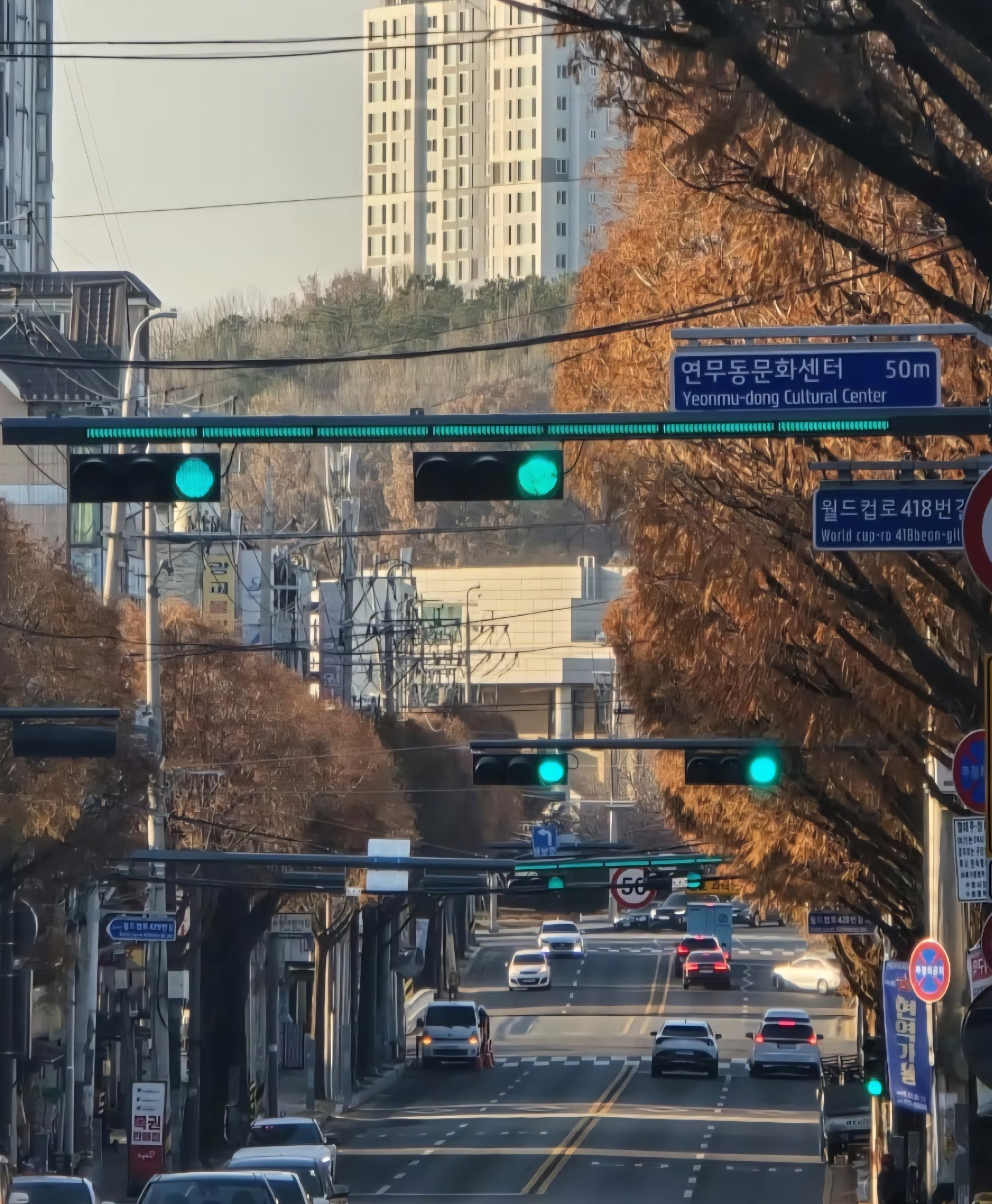 [정보/소식] 40년만에 바뀐다는 국내 신호등 새 디자인 | 인스티즈