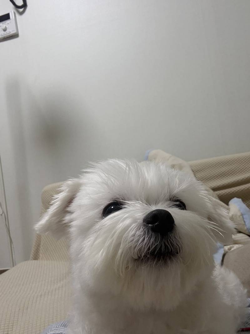 [잡담] 티비에 집중하심 | 인스티즈