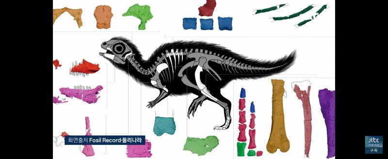 [잡담] 애들아 둘리사우르스 발견됐대 | 인스티즈