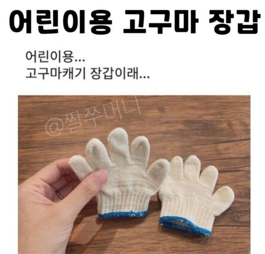 [잡담] 어린이용 고구마캐기 장갑 아는 사람?ㅋㅋㅋ | 인스티즈