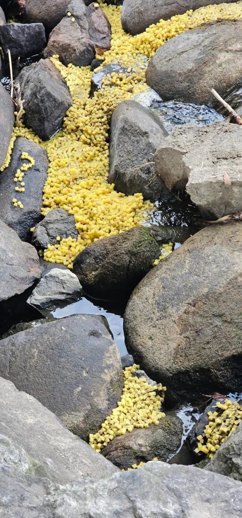 😡지금 스레드 난리인 스펀지 사건 | 인스티즈