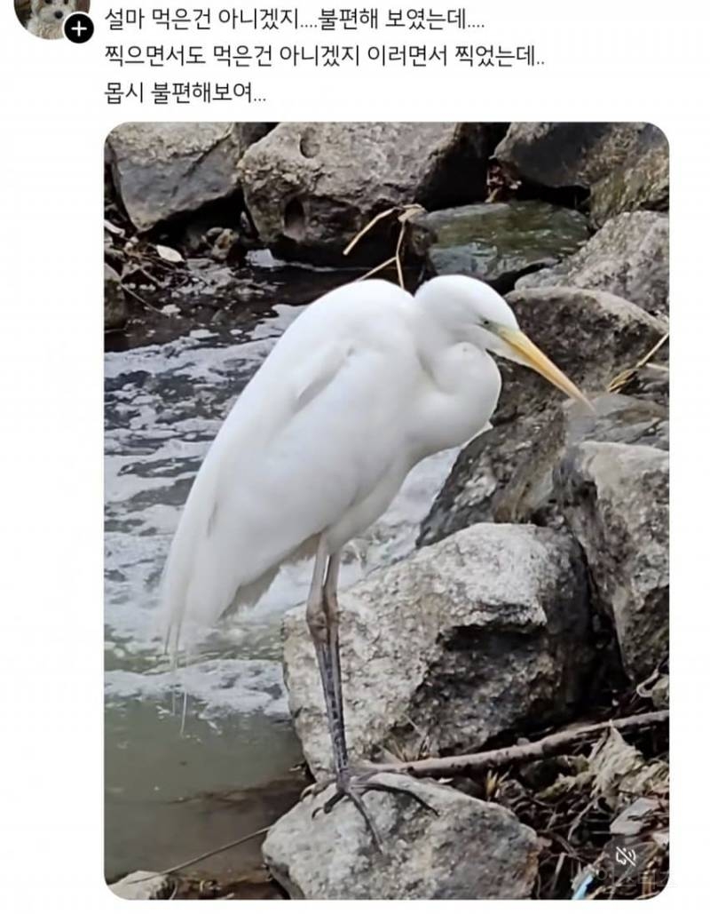 😡지금 스레드 난리인 스펀지 사건 | 인스티즈