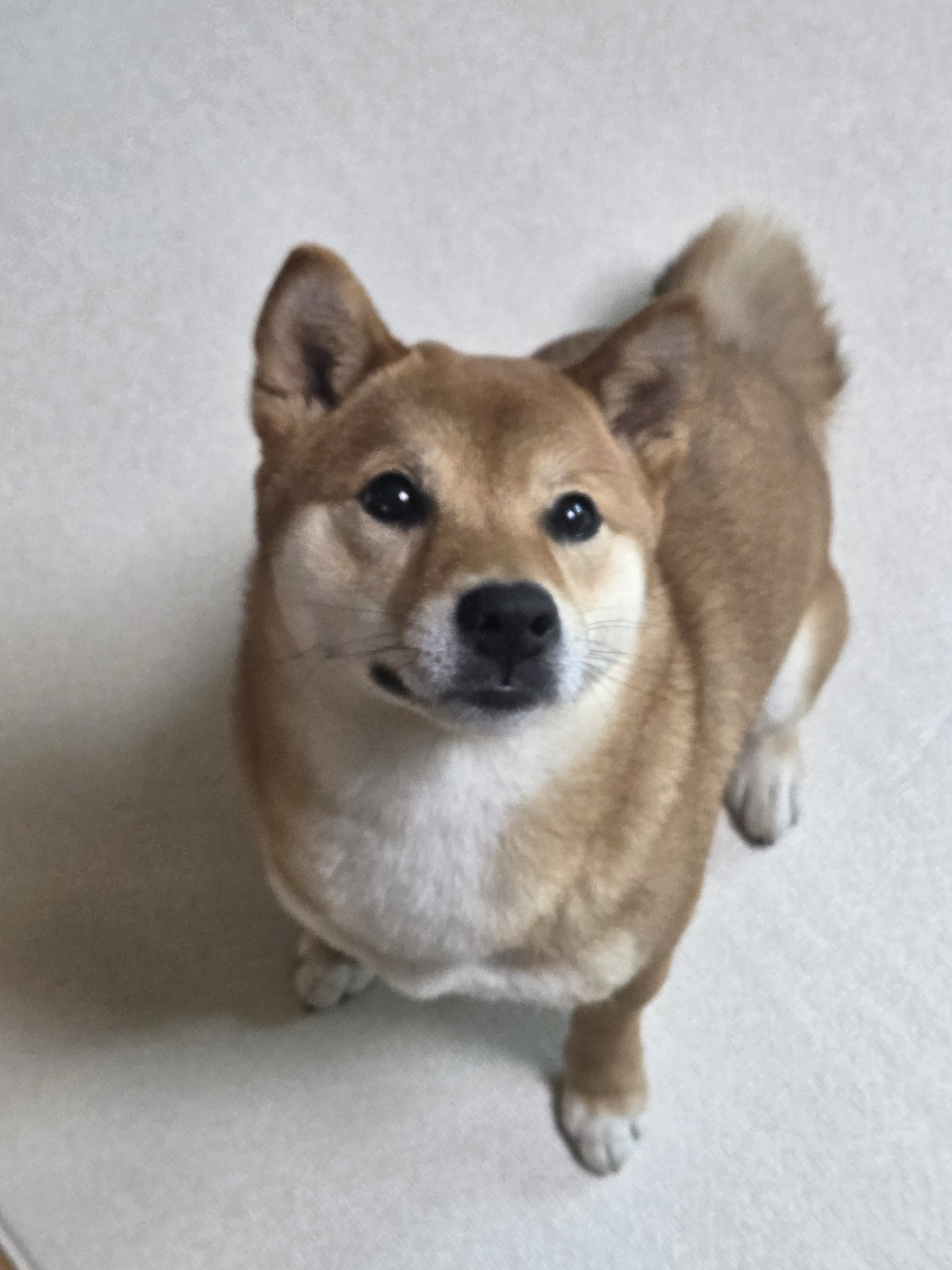 [잡담] 오늘 투바투 수빈 라방에 특별게스트 나올 거래 | 인스티즈