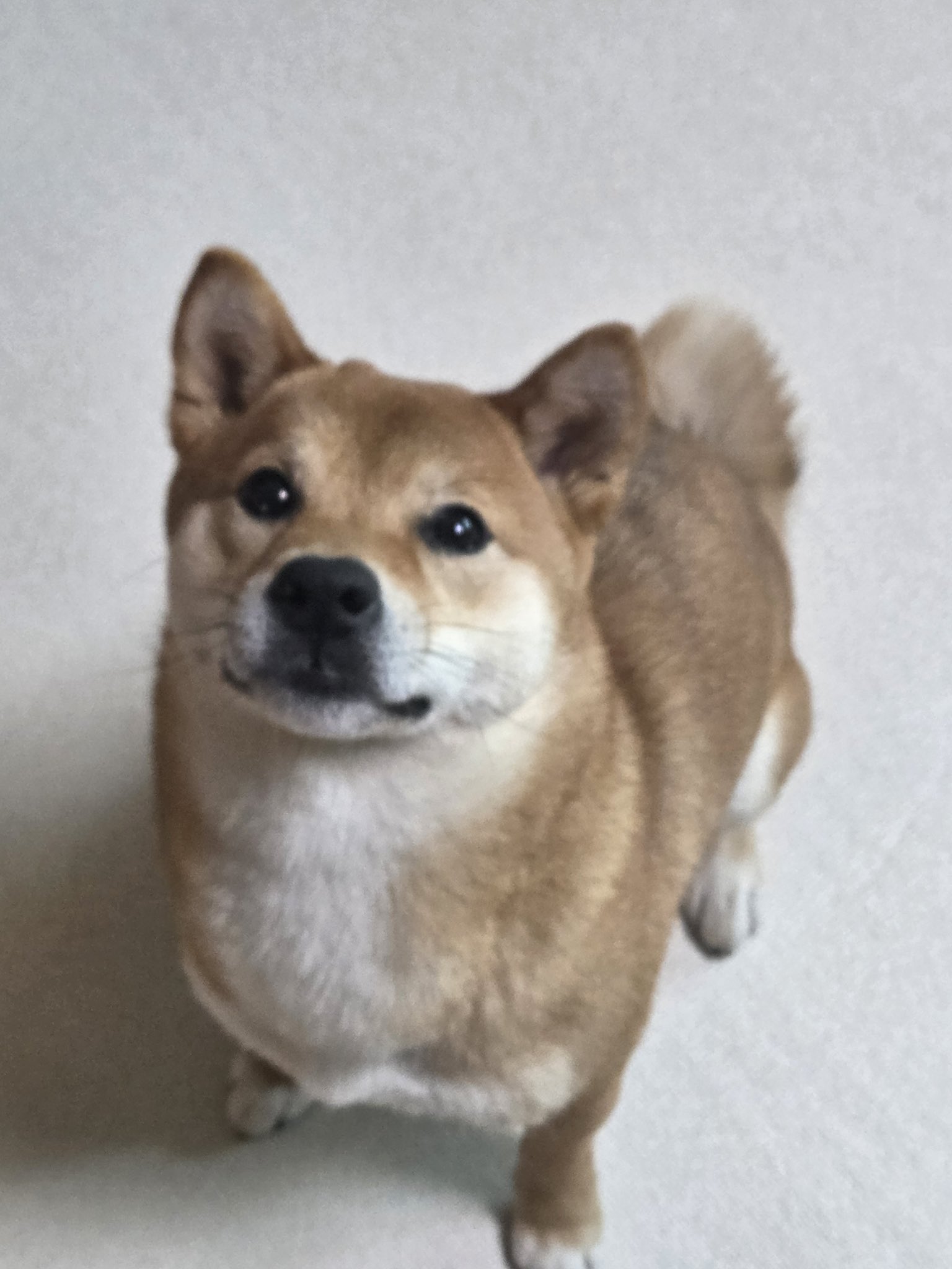 [잡담] 오늘 투바투 수빈 라방에 특별게스트 나올 거래 | 인스티즈