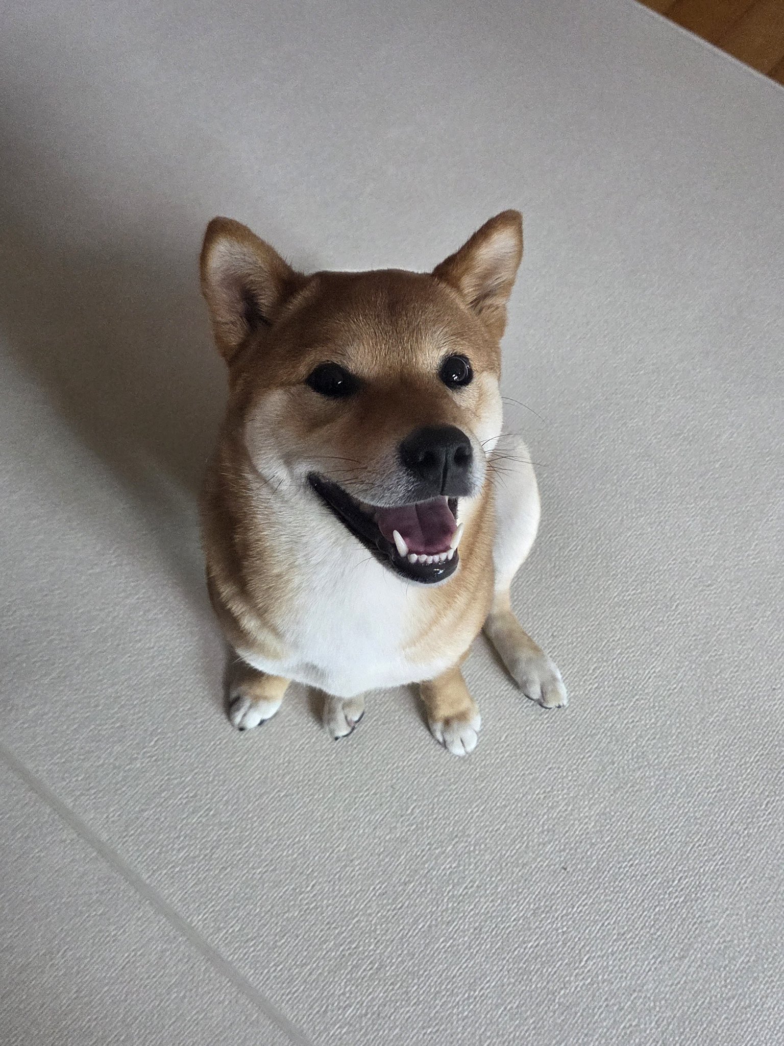 [잡담] 오늘 투바투 수빈 라방에 특별게스트 나올 거래 | 인스티즈