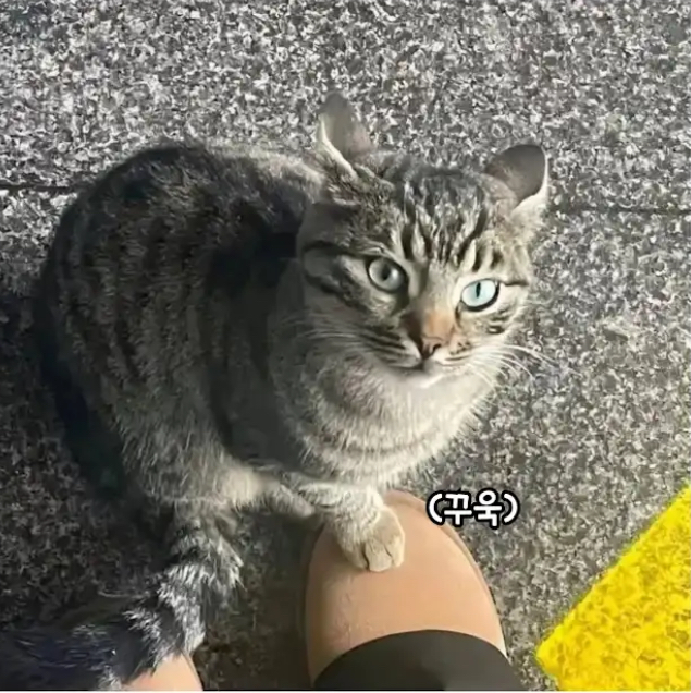 찜콩 | 인스티즈