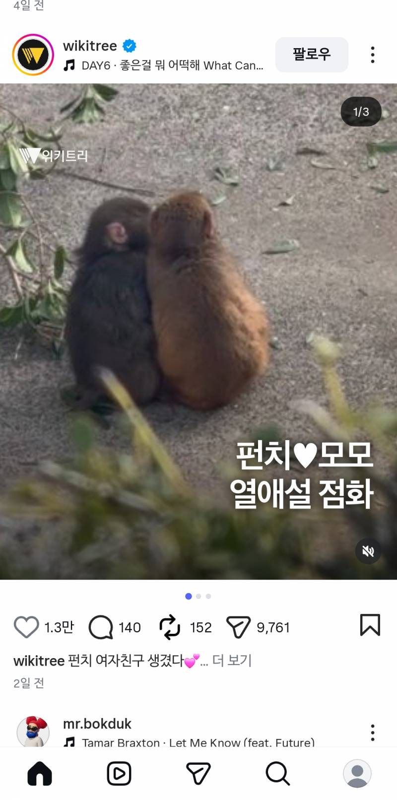 [잡담] 내가살면서 원숭이 열애설을 볼줄은 몰랏다... | 인스티즈