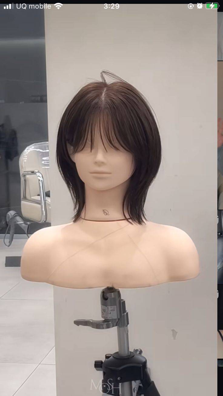 [잡담] 얼굴형 살짝 긴 땅콩형 이 머리 어떨 것 같아 | 인스티즈