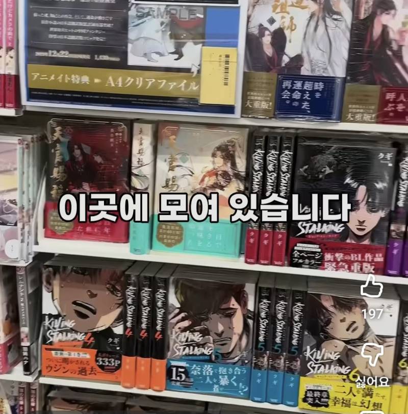 [잡담] 아키하바라에 한국웹툰도 있나..? | 인스티즈
