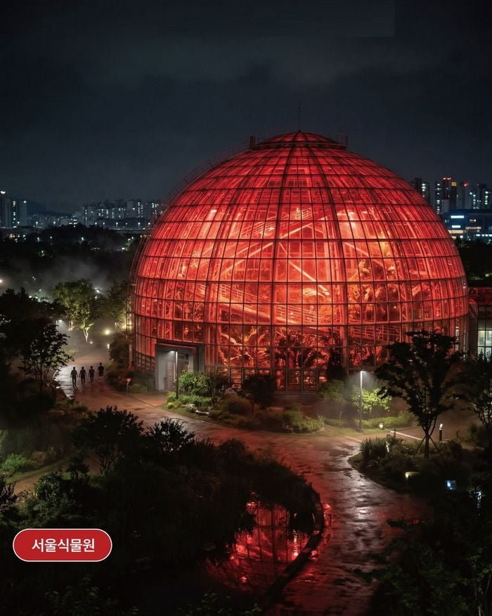 [마플] 불 나서 사람이 죽었는데 조명색은 좀 바꾸는게 맞지 않나 | 인스티즈
