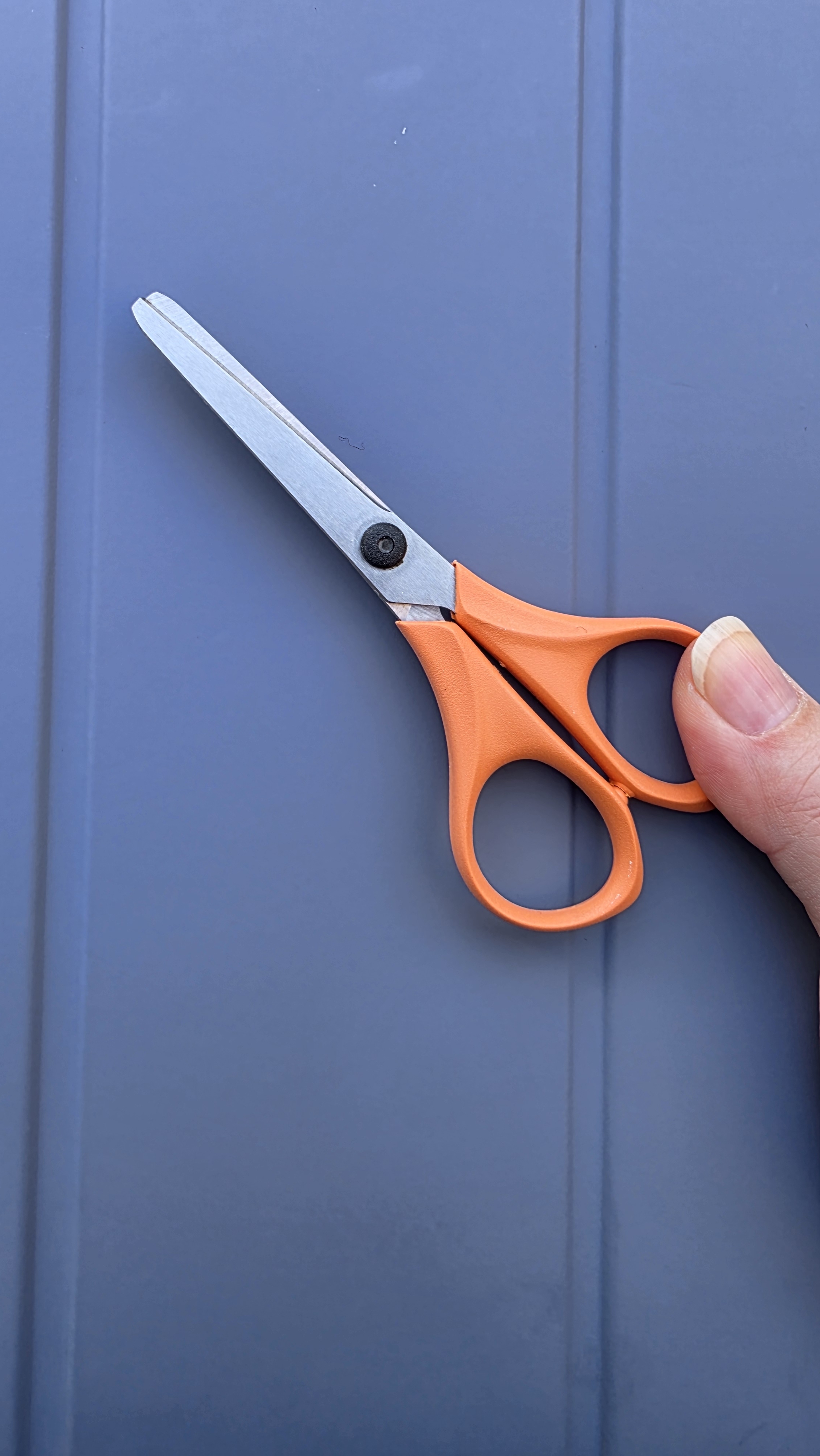 [잡담] 나 몸검문할 때 걸린 거 보여줄까 | 인스티즈