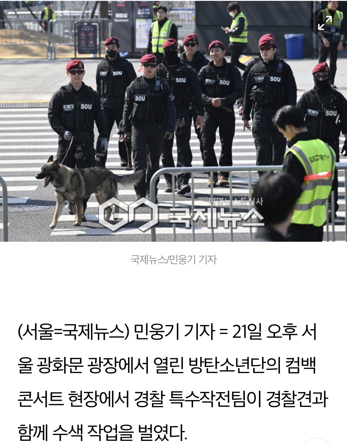 [정보/소식] 광화문 경찰견이랑 수색 작업 중 | 인스티즈