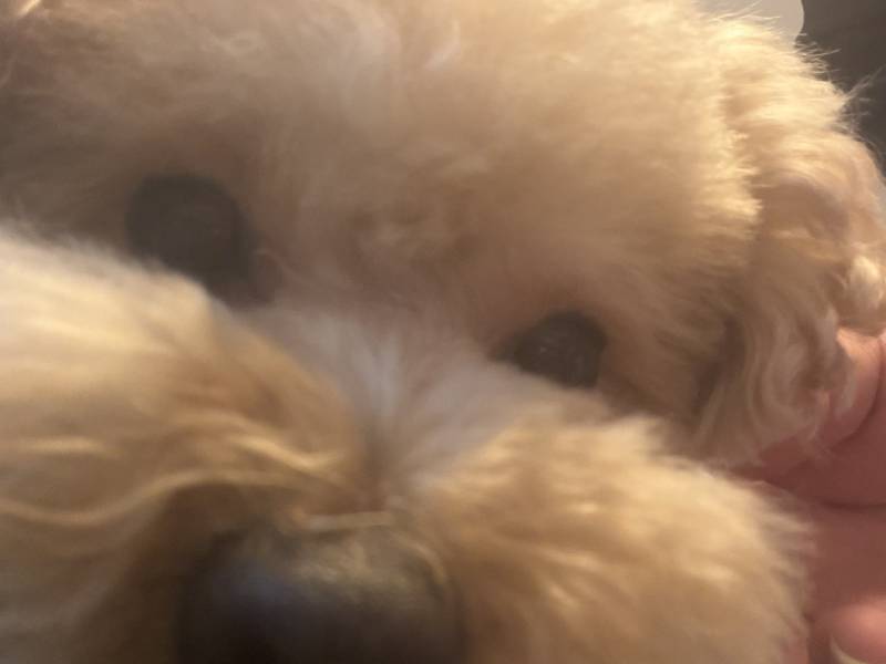 [잡담] 셀카💕 | 인스티즈