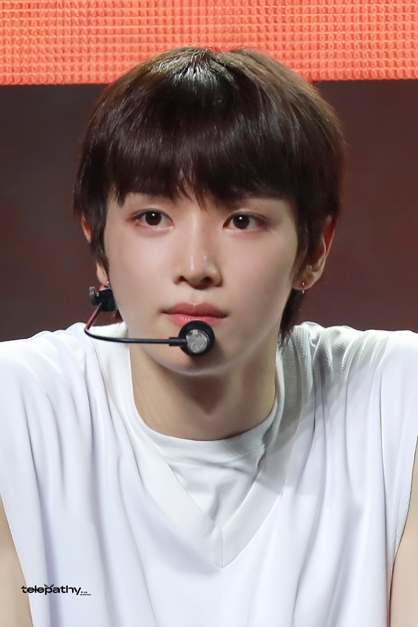 [잡담] 난 성찬이 꿩찬 트라우마 있다고 하는거 왤케 귀엽지 ㅜㅜ | 인스티즈