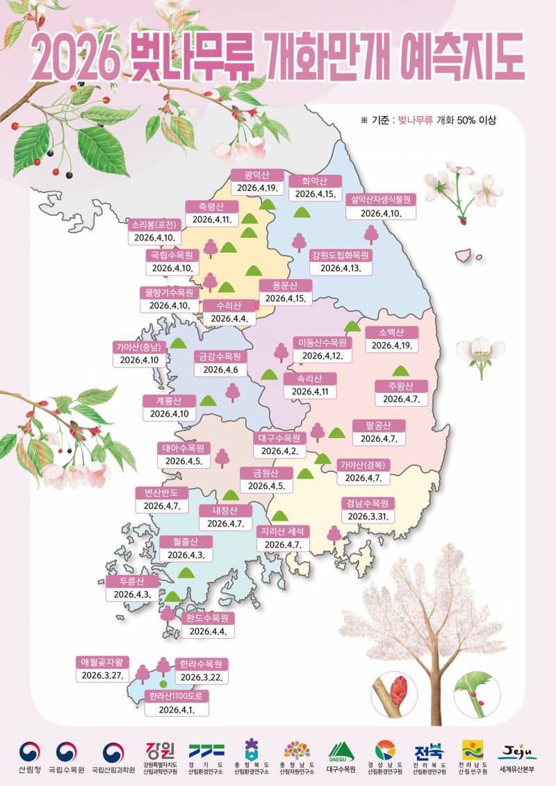 [정보/소식] 2026 벚꽃 개화/만개 시기 | 인스티즈