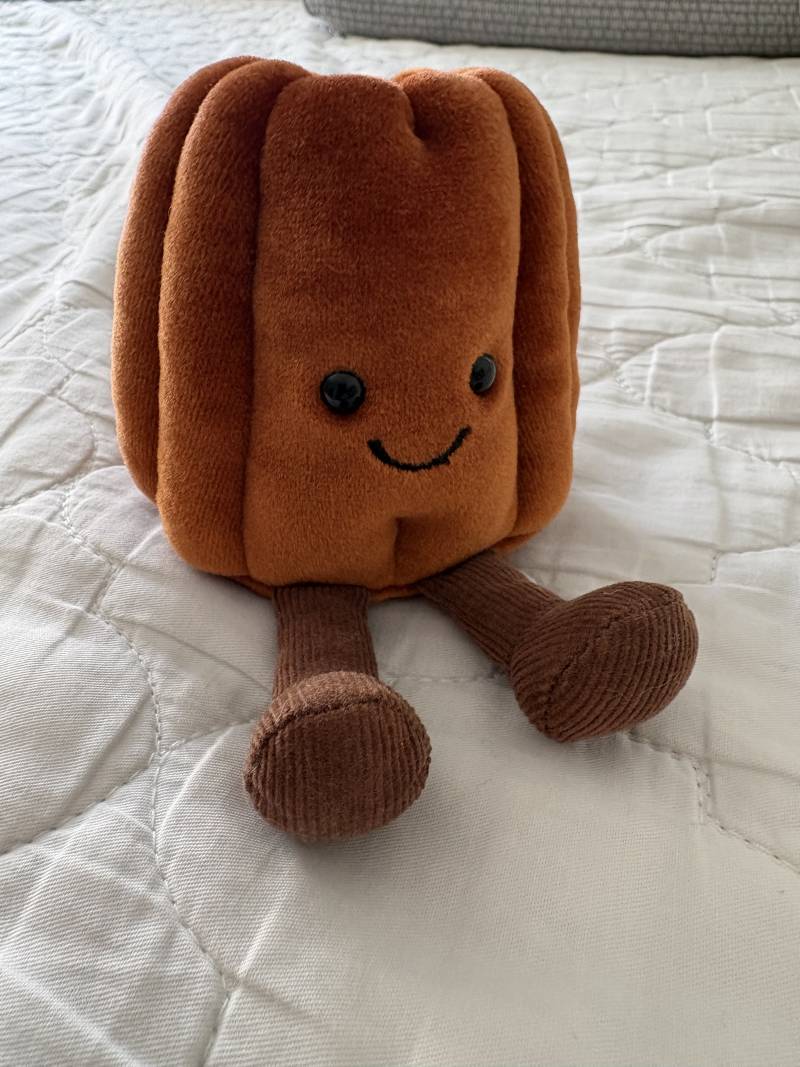 [잡담] 얘 너무 귀여워서 데려왔어 | 인스티즈