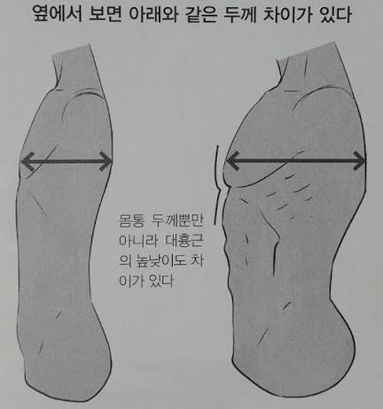 [잡담] 그 뭐라해야하지 흉곽? 옆통? 이거는 못 줄이는거겠지 | 인스티즈