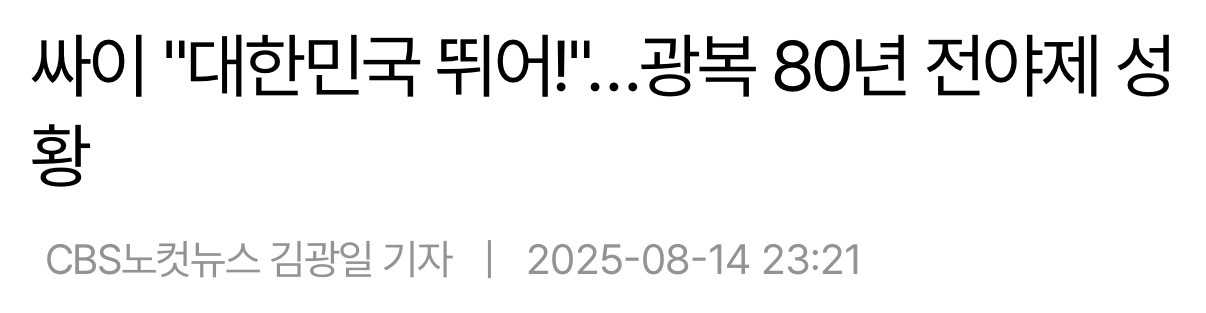 [정보/소식] 1년전 싸이 광복절 무료 공연 관객석..jpg | 인스티즈