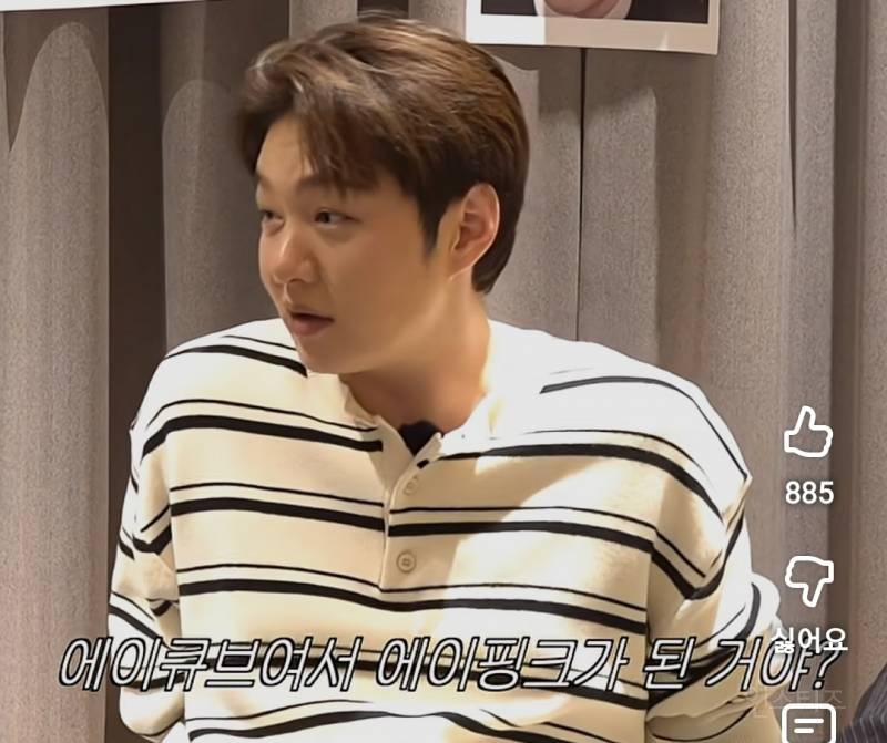 귀를 의심하게 만든 에이핑크 비스트 그룹명 후보.jpg | 인스티즈