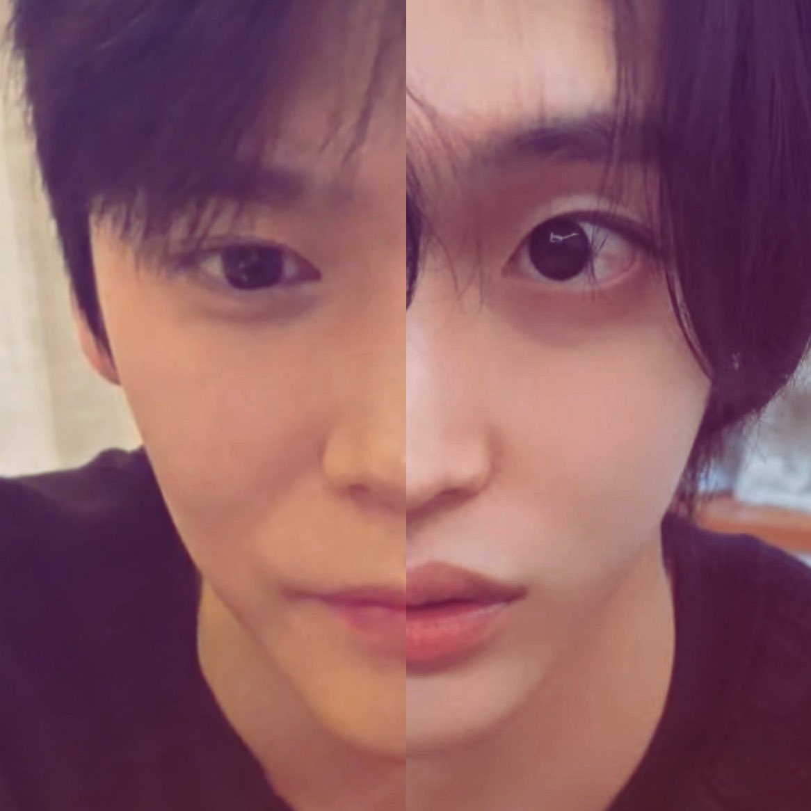 [잡담] 라이즈 고양이즈 같은 고양이 모에화인데ㅋㅋㅋㅋ | 인스티즈