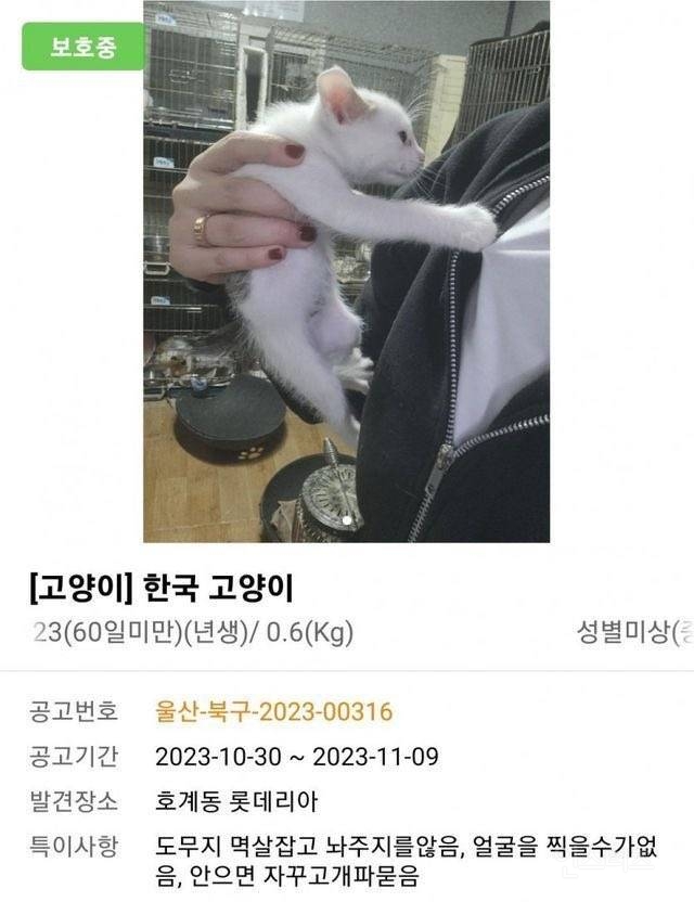 도무지 멱살 잡고 놔주지를 않음 | 인스티즈