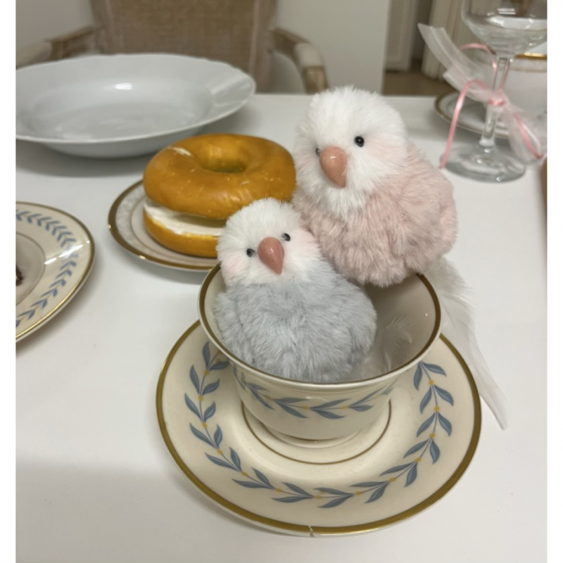 [잡담] 앵무키링 두개에 4만8천원인데 살말? | 인스티즈