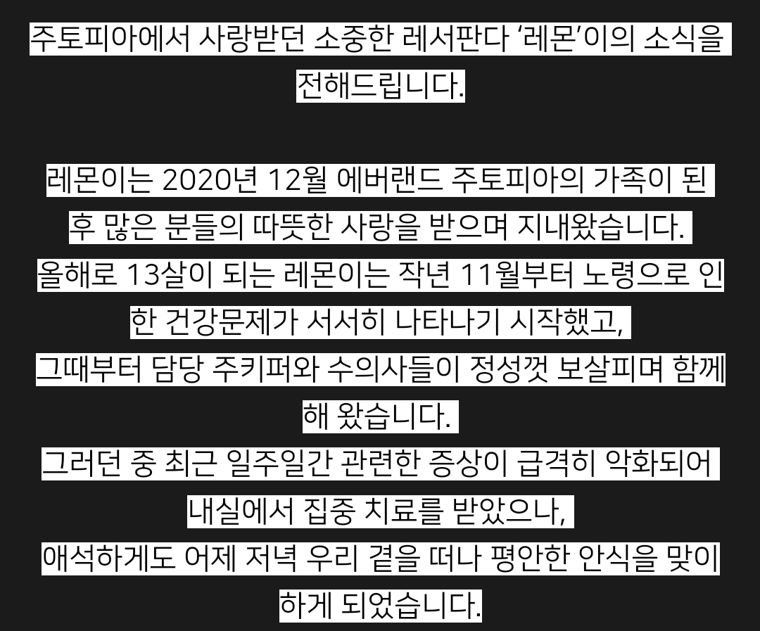 [잡담] 에버랜드에 있는 레서판다 레몬이 아는 익들 있나? | 인스티즈