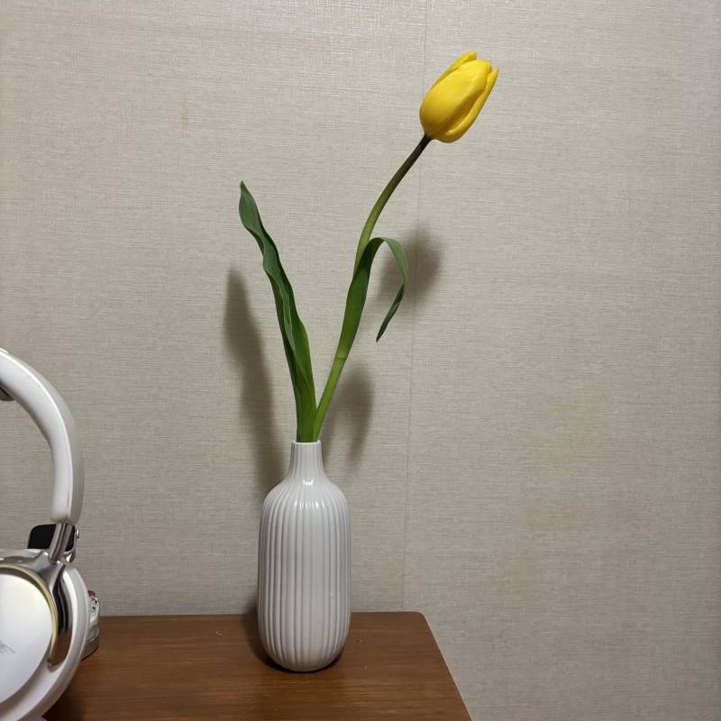 [잡담] 튤립 받아서 꽃병에 뒀는데 | 인스티즈