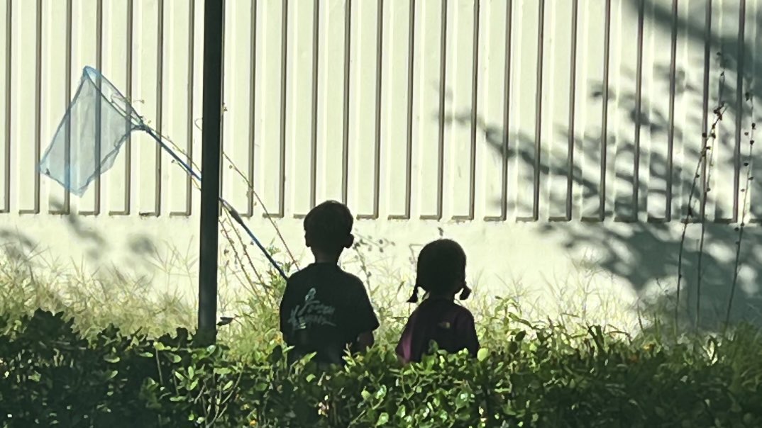 [잡담] 틧터에서 누가 사진 찍은건데 너무 잘 찍음 | 인스티즈