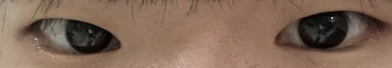 [잡담] 무쌍 눈 평가좀..맹해보이는 편..? | 인스티즈