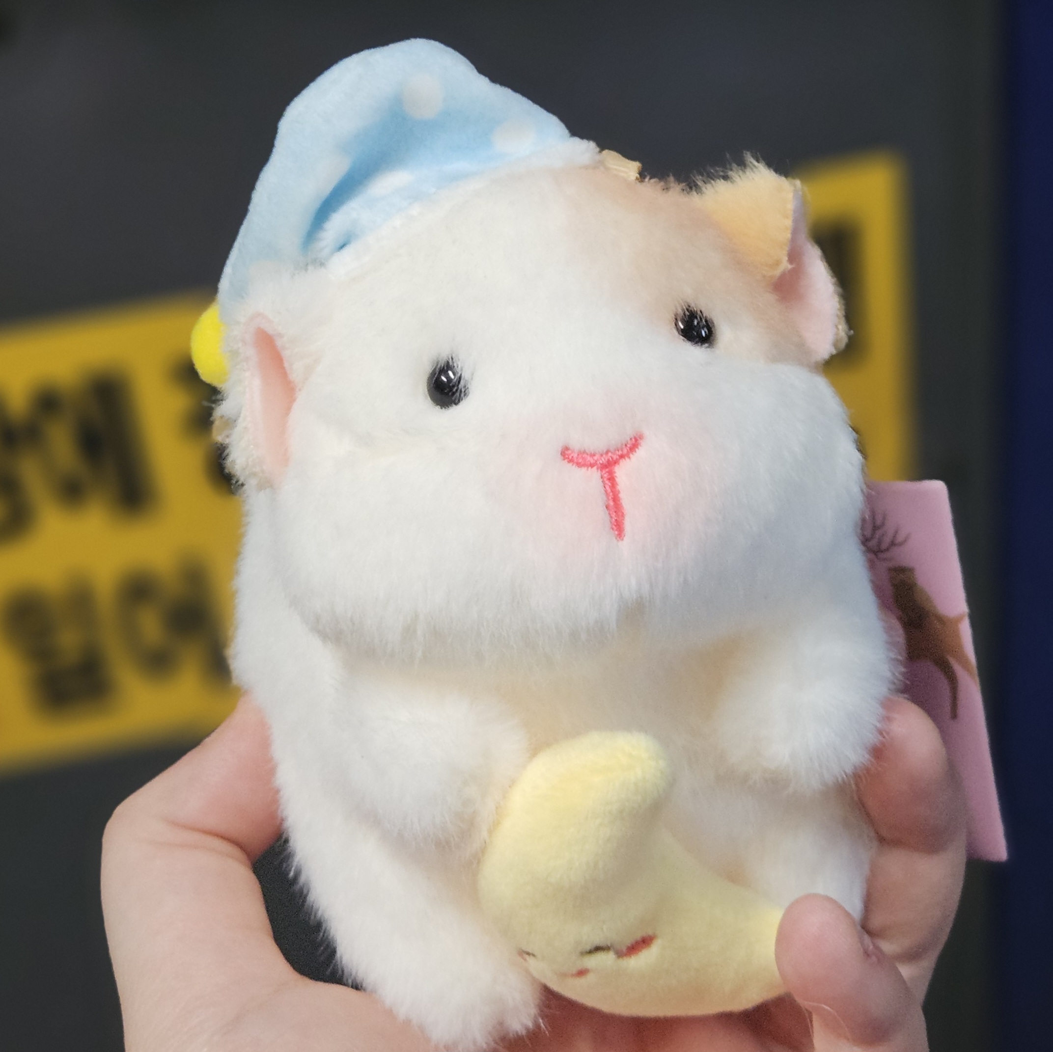 [잡담] 나 퇴근하면서 너무 귀여운 인형을 사버렸어 | 인스티즈