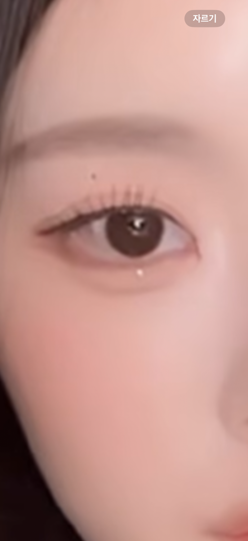 [잡담] 내가 보는 인플루언선데 이런 느낌 렌즈 뭘까 | 인스티즈